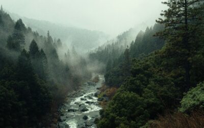 Réussir ses photos de paysage : conseils essentiels pour débuter